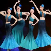 Dai ethnic dance to perform a practice dresses performance dress for women practice dance dress peacock dance fish tail half body dress for a dress