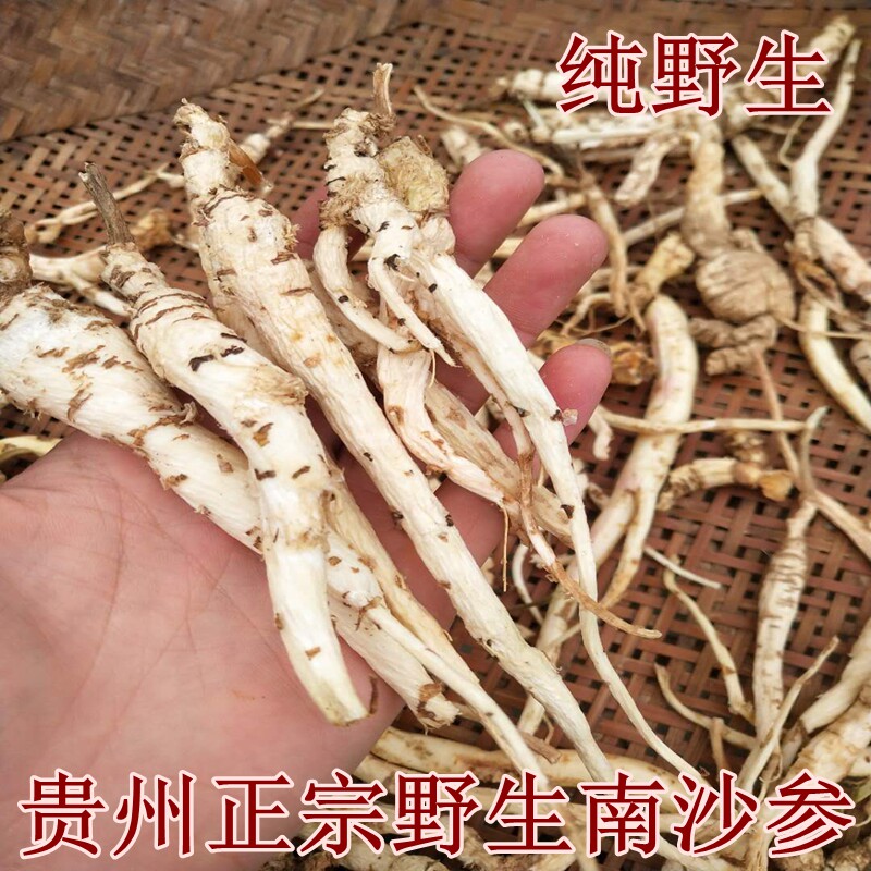 Wild Nansha Ginseng season new goods Guizhou natural wild Nansha Ginseng sulfur free dry goods 250g soup ingredients