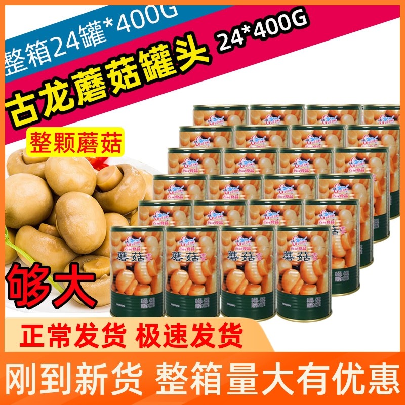 Canned Gulong Mushrooms 425g*24 cans for sale Whole Mushroom Vegetarian Canned Pizza Baking Ingredients