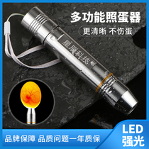 Egg lamp light egg hatching device hatching special strong light inspection egg automatic penetration plug charging led inspection chicken turtle