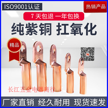 National standard copper wire ear nose cable wire copper connector Terminal DT-10 16 25 35 50 square National Standard