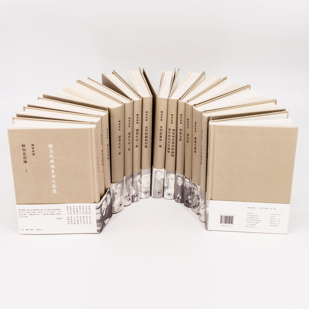 正版速发！陈寅恪全集14册：学术巨擘的智慧结晶，你值得拥有！-文学史
