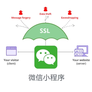 [微信小程序开发 SSL证书 HTTPS加密协议 TLS12 ATS API WebSocket]