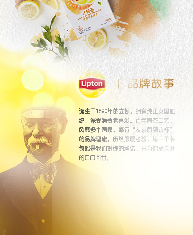 Lipton立顿清衡茶蒲公英绿茶