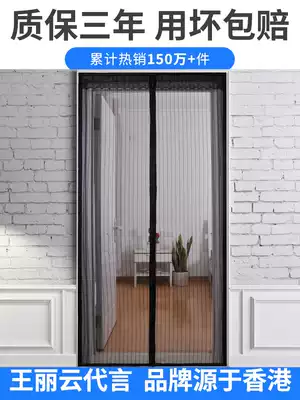 Summer Velcro anti mosquito curtain magnetic screen door home bedroom partition curtain cartoon screen screen screen gauze free of holes