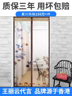 Anti-mosquito curtain summer encrypted magnetic screen door screen window home cute girl bedroom partition curtain magnet pair suction