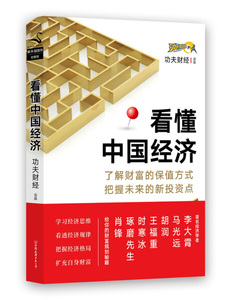 正版书籍中国经济：看懂中国经济 作者功夫财经的书 中国友谊出版社 9787505738904书号开学季