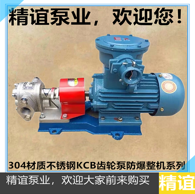 High temperature electric stainless steel KCB18 3 anti - storm gear pump gasoline pump anti - riot whole machine