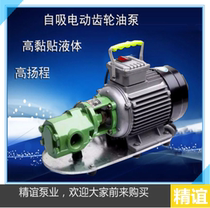 High temperature electric gear oil pump WCB-30 50 75 100 Self-priming pump Portable oil pump Edible oil delivery oil pump