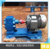 RCB-18 0 6 thermal insulation gear pump asphalt insulation gear pump insulation asphalt pump RCB asphalt insulation pump