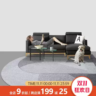 Living room carpet light luxury large area Gray tea table carpet modern simple personality ins Wind bed front blanket bedroom floor mat