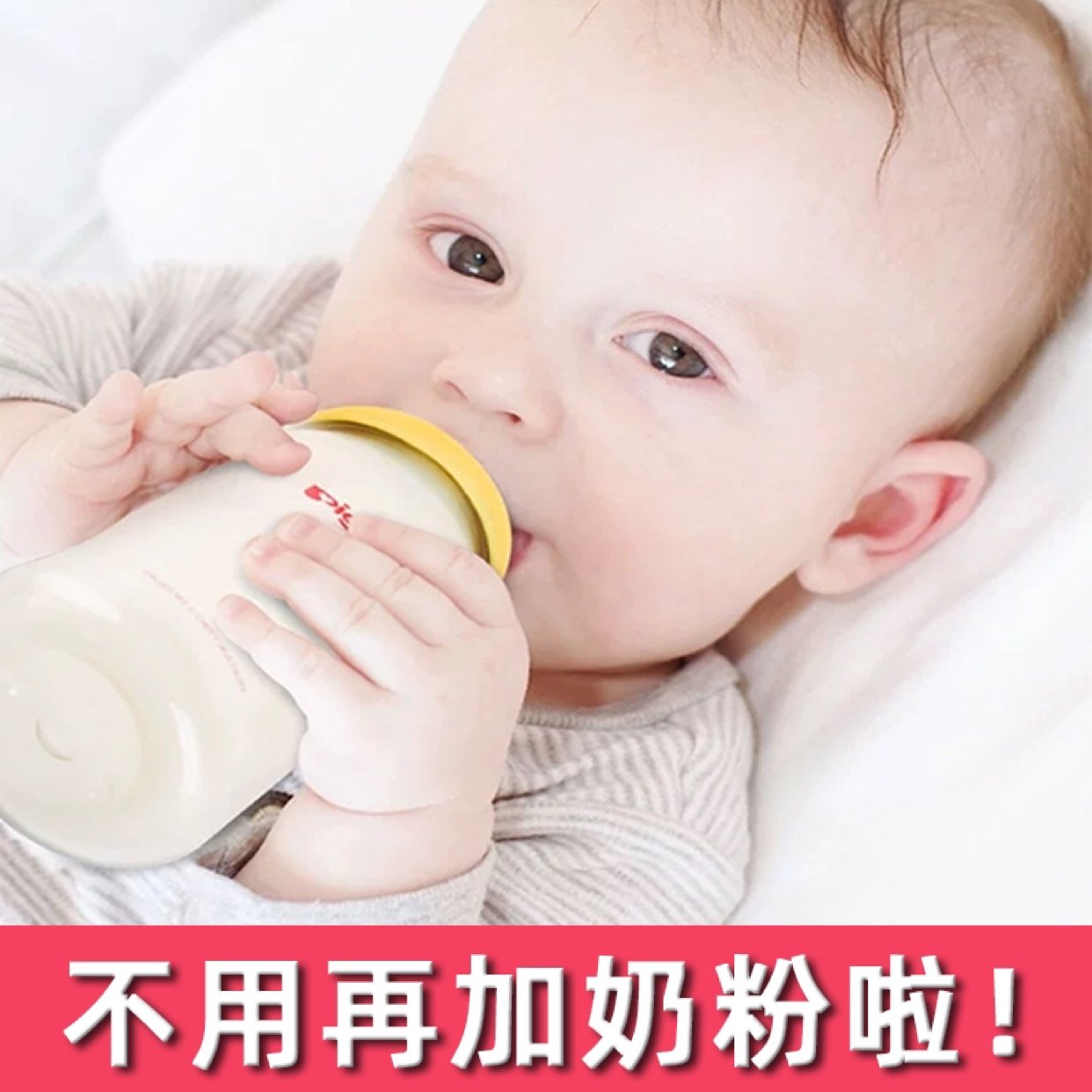 Non-Xia Milk Soup Lactation Period Tongcao King No Staying Artifact Raw Milk Milk Insufficient Chasing Milk Tea Opening Milk