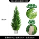 1,5 млн. Cypress Tree+цементное бассейн большой размер большой