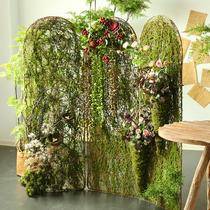 Seven MOS simulation plant green plant window decoration flower art screen fence fence fence wall decoration sign photo studio shooting props