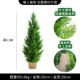 1,5 метра кипариса + корзина для травы