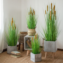 (Seven Mo) simulation water candle potted large cattail green plant decoration floor decoration home store display props