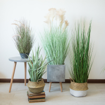 Seven MOS simulation reed grass potted onion grass large plant decoration home living room landing simulation green plant