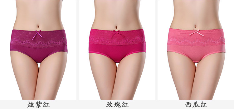 Slip jeunesse en coton - Ref 640421 Image 15