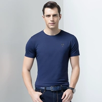 101 (тибетский синий))