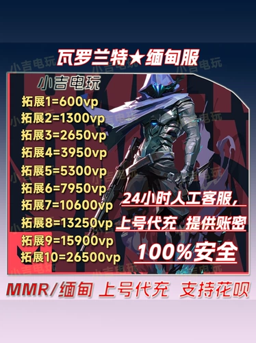 Зарядная сервисная служба Valted Burmes