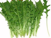 Special Price Vegetable Fresh Sesame Dish Rocket Dish 250g Beijing-Tianjin-Hebei Arbitrary 6 pieces