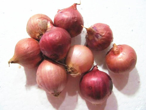 500g fresh dried shallots, shallots, small onions, any 6 pieces of Beijing-Tianjin-Hebei
