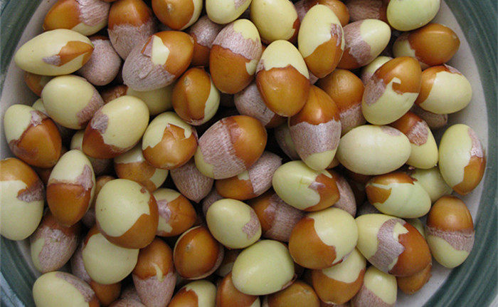 Fresh white fruit kernel peeled white fruits 500g pot soup Beijing-Tianjin-Hebei full 88 Shunfeng