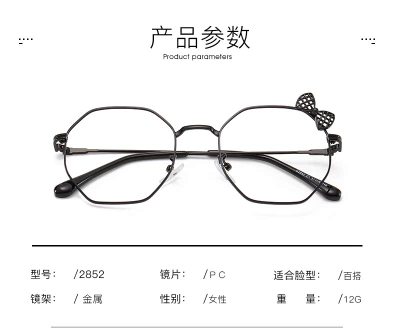 Montures de lunettes en Alliage cuivre-nickel - Ref 3139534 Image 15