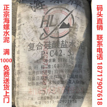  Shanghai authentic Conch cement 425 ordinary cement pc325 decoration Conch brand cement 50kg Free shipping