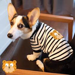 Pet Dog Fun Print Clothes Spring and Autumn Clothes Anti-hair Thin Corgi Chai Dog Teddy Stripes Two-legged Sweatshirt