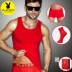 Playboy cotton đỏ vest nam sinh năm heo là heo cưới lớn đỏ nam vest đáy quần lót comple tuổi 50 Áo vest cotton