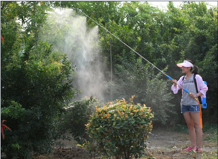 Electric sprayer extended boom 3 meters (without nozzle)