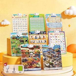 青葫芦知识挂图宝宝有声早教挂图