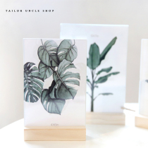 Dressmaking great uncle minimalist Nordic plant swing table decoration gifts small frescoed inserts 6-inch photo frame 