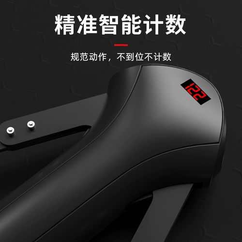 Групповые мышцы и брюшные мышцы и мышцы брюшной полосы