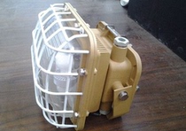 Sen Ben SBD1101-YQL40 50W maintenance-free energy-saving explosion-proof electrodeless lamp Explosion-proof three-proof electrodeless lamp