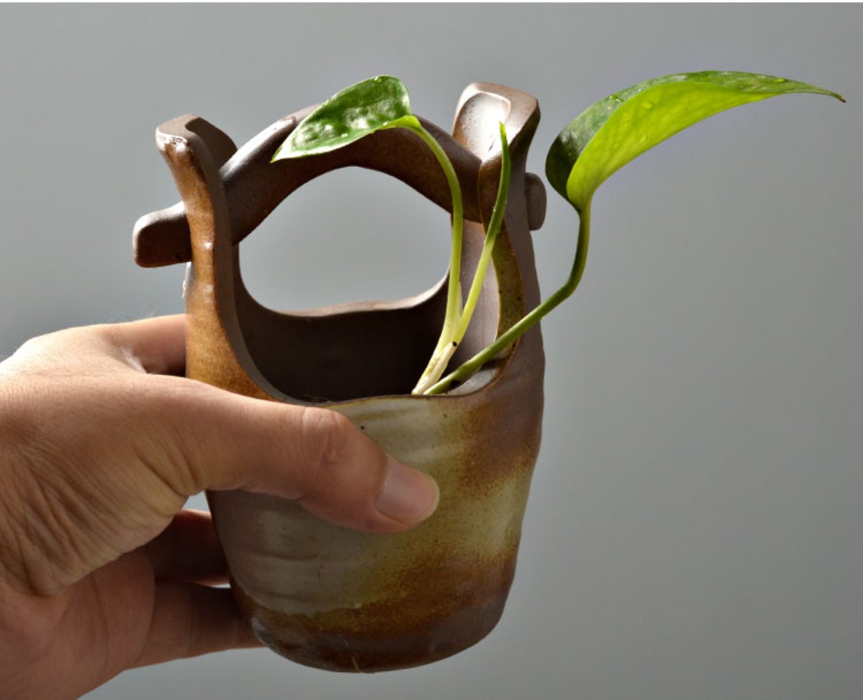 Sáng tạo nước xanh thủy bình hoa chậu chậu lục bình chậu cây nhỏ chai lọ trang trí phòng khách trang trí - Vase / Bồn hoa & Kệ bình cắm hoa ly