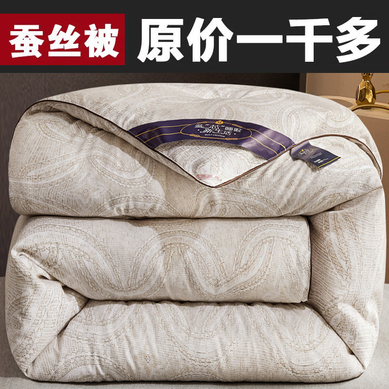Silk quilt winter quilt thickened warm winter cotton quilt core spring and autumn quilt double air-conditioning quilt single dormitory winter