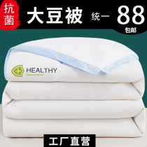 Thickened Quilt Winter Style Silk Cotton Quilt Core Winter Quilt Warm Spring Autumn Quilt With Double Air Conditioning By Thin Section Winter Cotton Wool Antibacterial