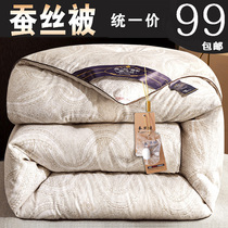 Thickened all-cotton silk quilt silk cotton quilt core warm winter quilted by double single spring autumn and winter 10 catty price