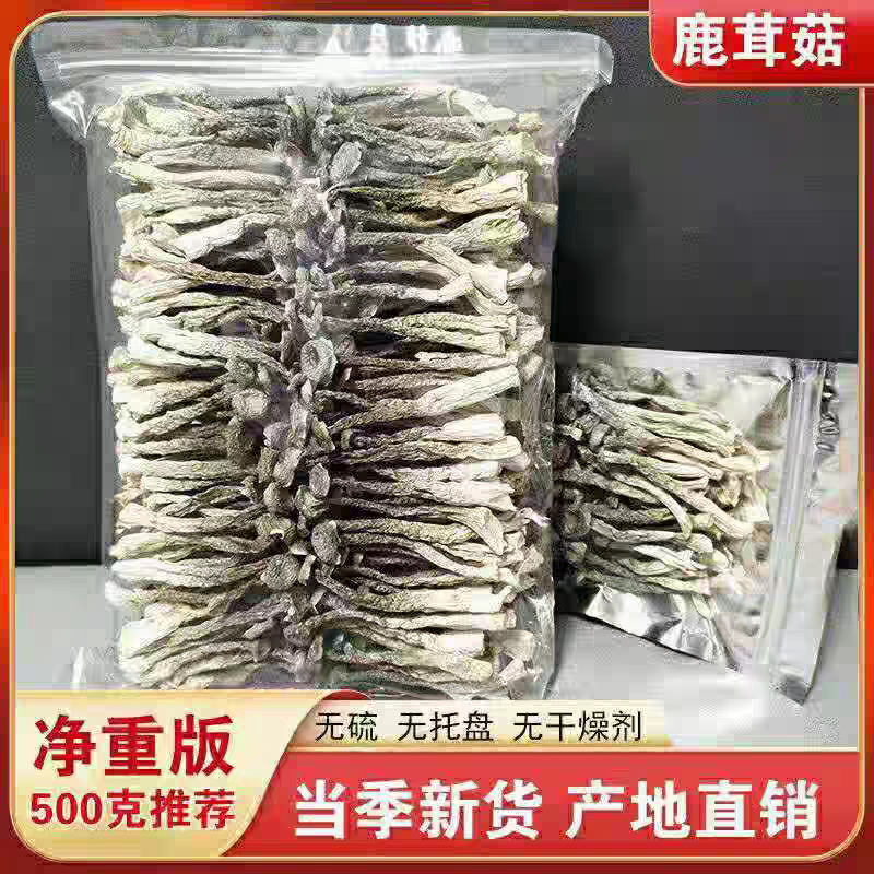 云南菌菇批发部的LOGO