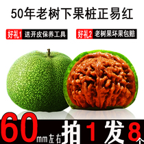 Wild Wenwan walnut green skin gambling green skin four buildings lion head unicorn pattern official hat extra large collection to play with walnut