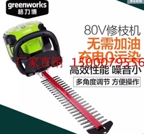 Gli Bogreenworks Green Hedge 80V Electric trimmings Tea Tree Machine Charging turquoise with fences Fence Pruner