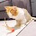 Игрушка для кошек, надувной мячик, перо, забавная кошачья палочка, кошачий мячик для самостоятельной игры, избавляющий от скуки, артефакт, потребляющий физическую силу, интерактивные товары для домашних животных mini 1