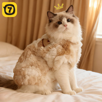 Cat Clothes for Autumn and Winter, Warm Ragdoll Devon Kitten Vest, Winter Cotton Coat with Fleece, Winter Pet Clothing for Cats