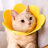 Желтый подсолнух