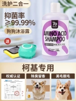 [Corgi] Gate Gel+Pired (Bants Brate+полотенце)