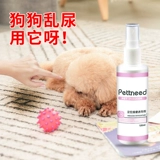 Собаки -индуктор собак, тренируясь в туалете в туалет