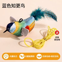 Blue Robin [Отправить кошачья + подвесная веревка]