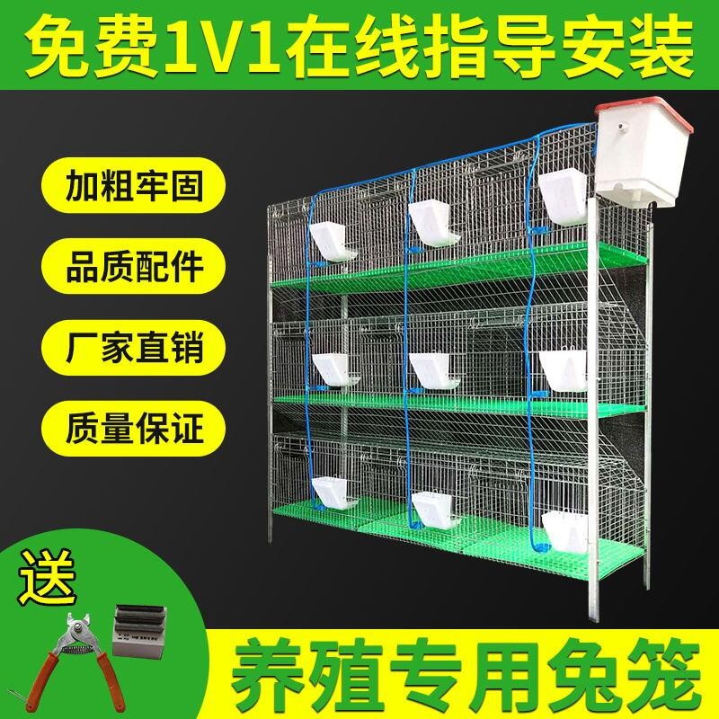 12 plus coarse encryption primary-secondary cage 24 bits goods rabbit cage free of manure new rabbit cage farm special rabbit cage